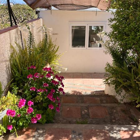 La Penita - Sunny Guesthouse With Private Pool And Garden Salobreña Exterior foto