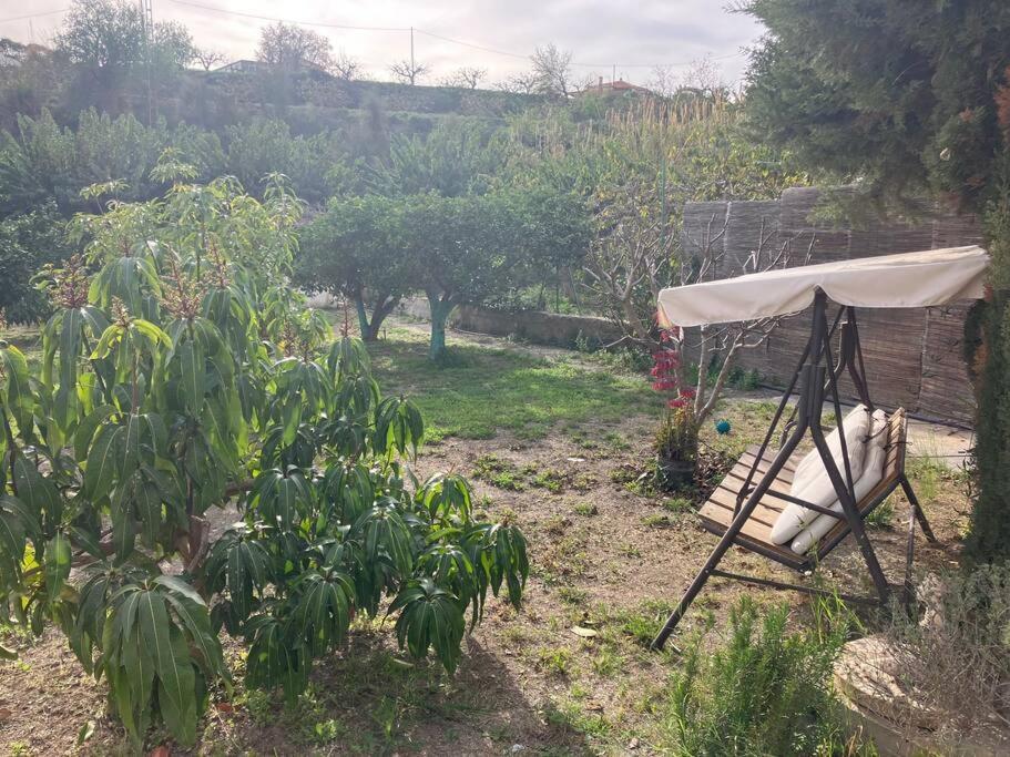 La Penita - Sunny Guesthouse With Private Pool And Garden Salobreña Exterior foto