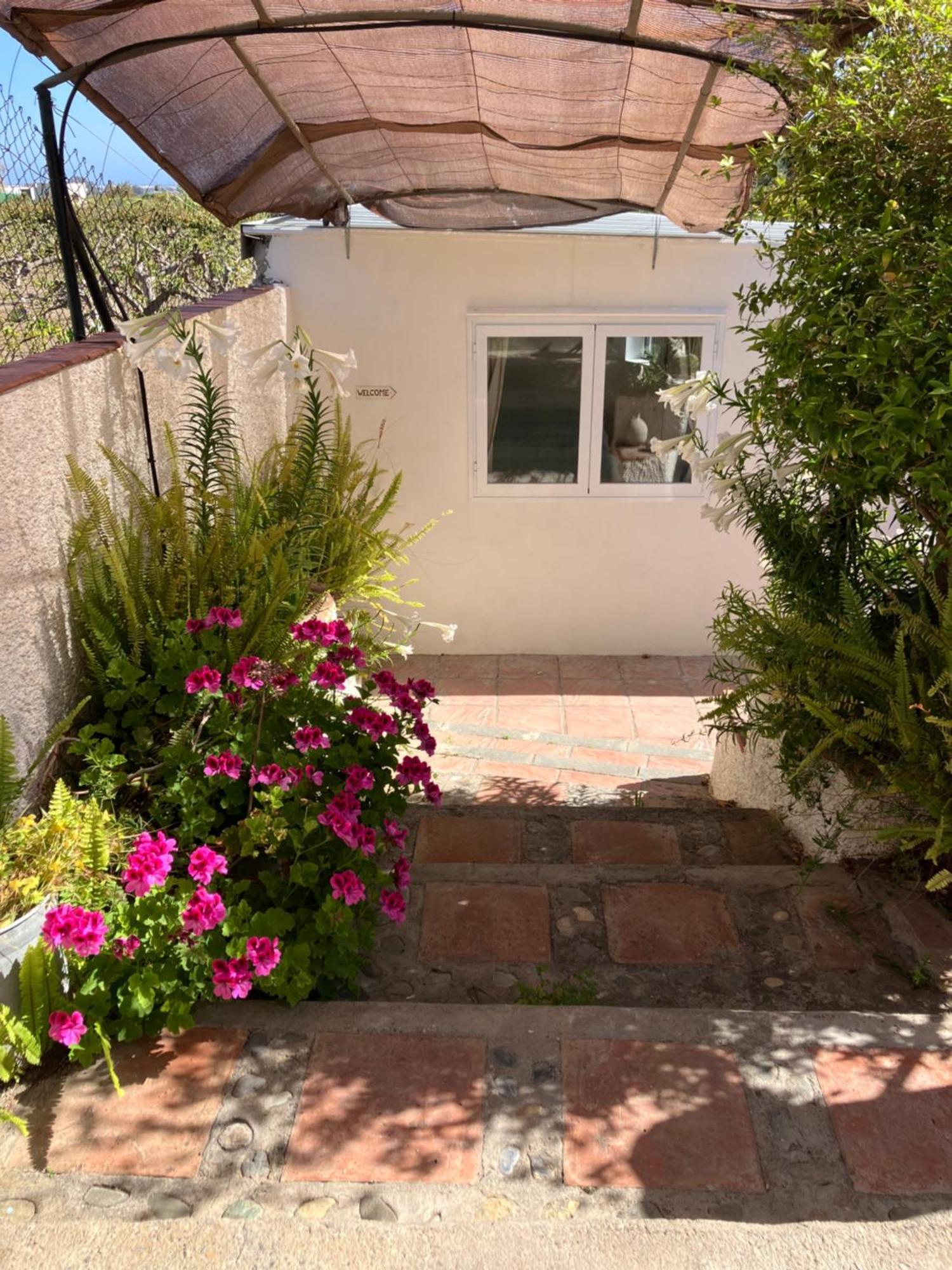 La Penita - Sunny Guesthouse With Private Pool And Garden Salobreña Exterior foto